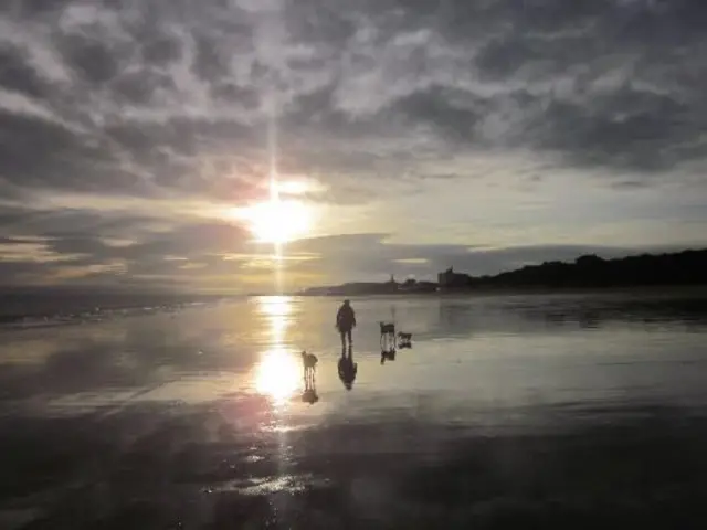 Man walking dogs on the beach at Bridlington with the sun reflected on the sand