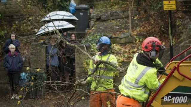 Tree branches being fed into a woodchipper