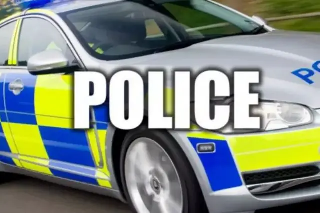 Police car stock