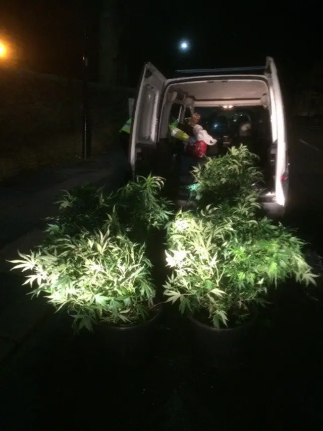 Van with cannabis in