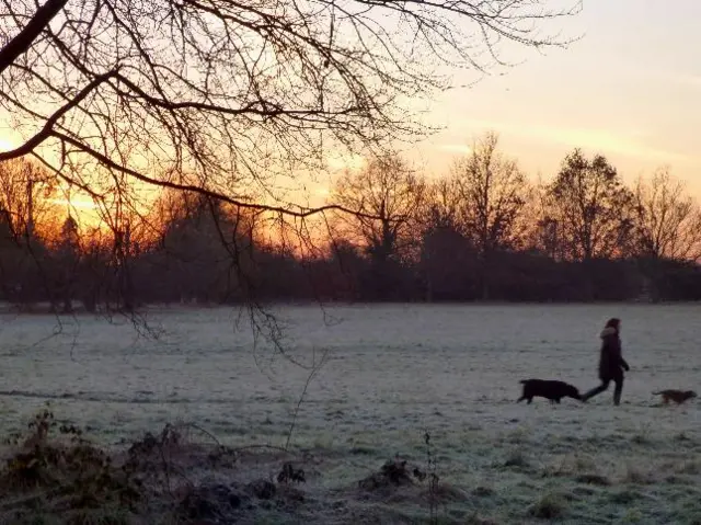 Frozen field