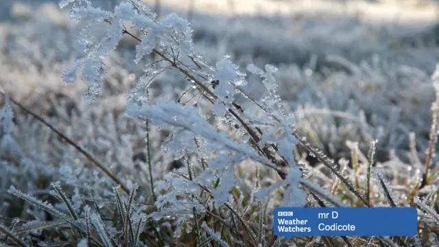 Frosty Codicote