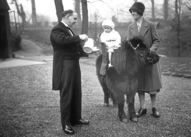 Two and a half- year-old Deidre Blundell Brown on Shetland Pony