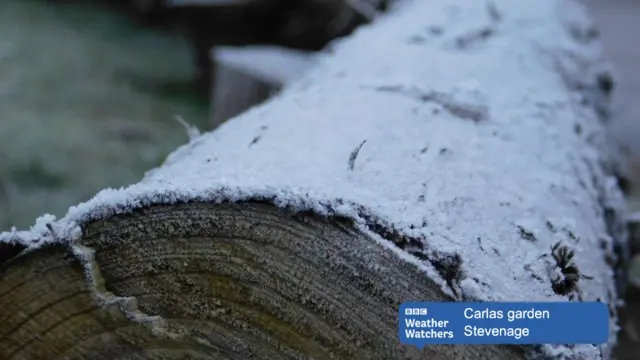 Frosty log