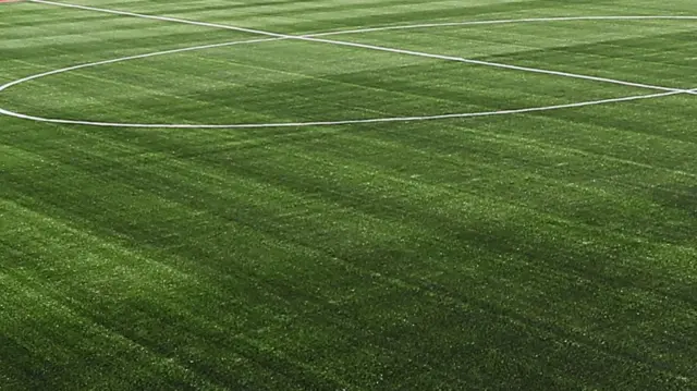 An artificial pitch