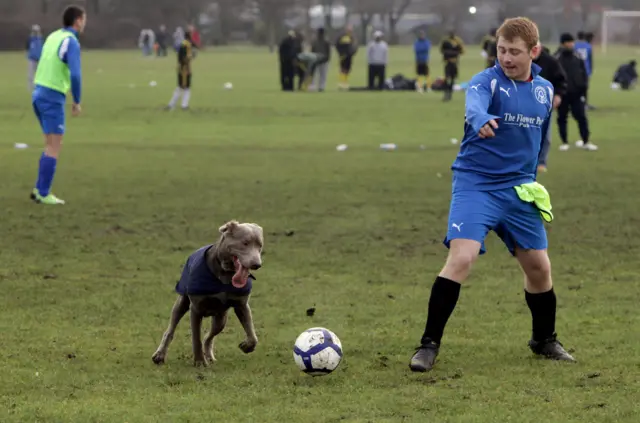 Sunday league