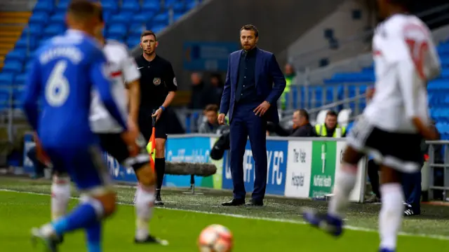 Fulham manager Slavisa Jovaonvic