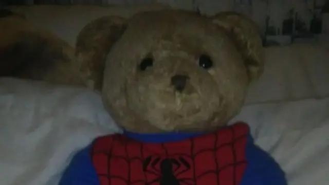 The bear from which baby's ashes were spilled