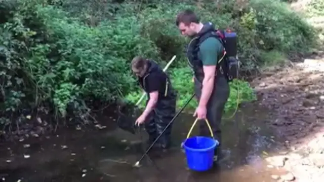 River rescue