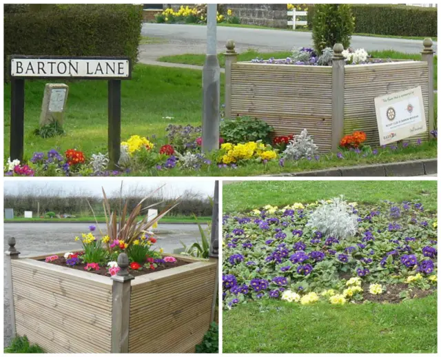 Flowers planted in the grass verge around the road sign.