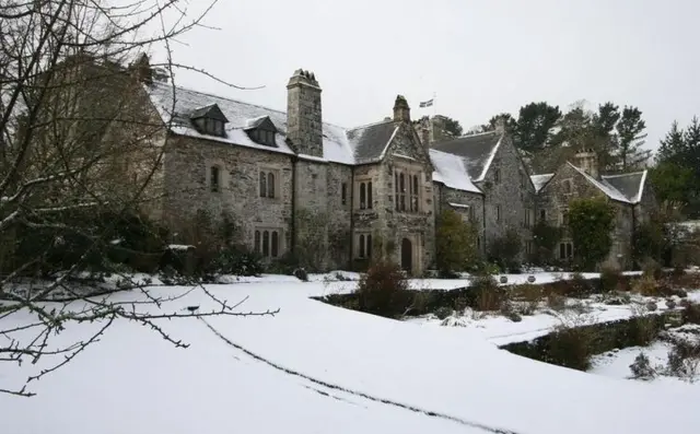 Cotehele in winter 2010