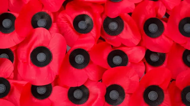 Remembrance poppies