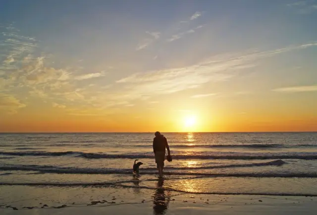 Morning Paddle by Zoe MacDonald