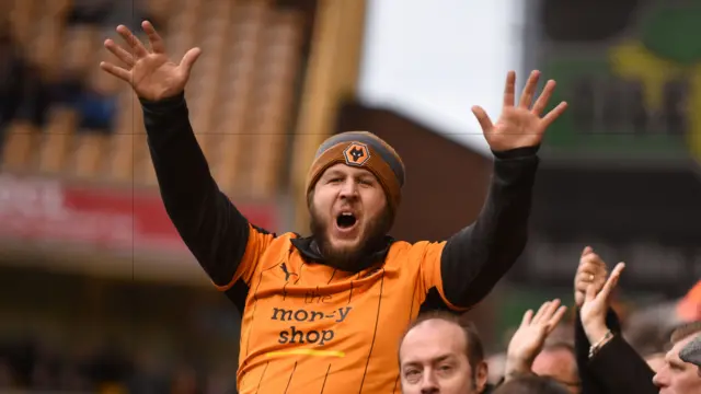 Wolves fan