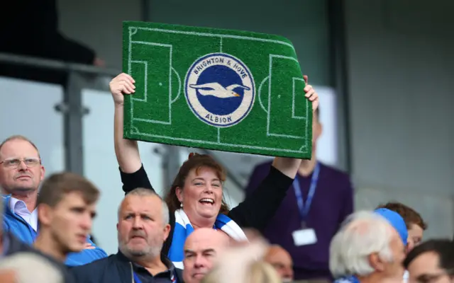 Brighton Fan