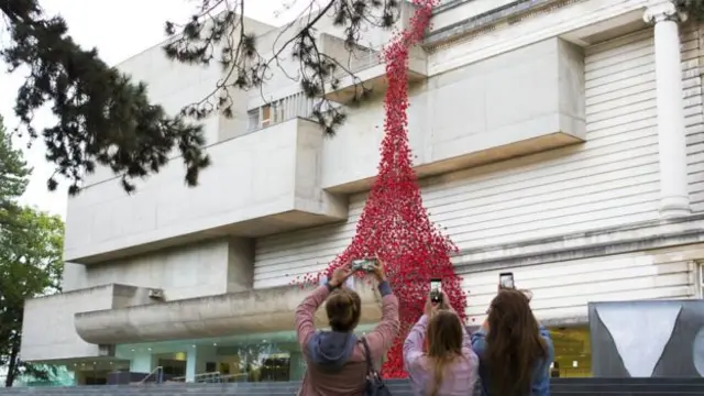 Weeping poppies