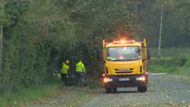 Workers remove parts of a fallen tree