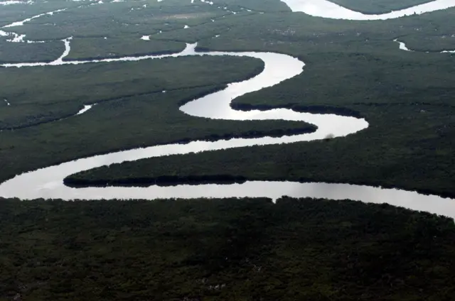 Creeks of the Niger Delta, Nigeria