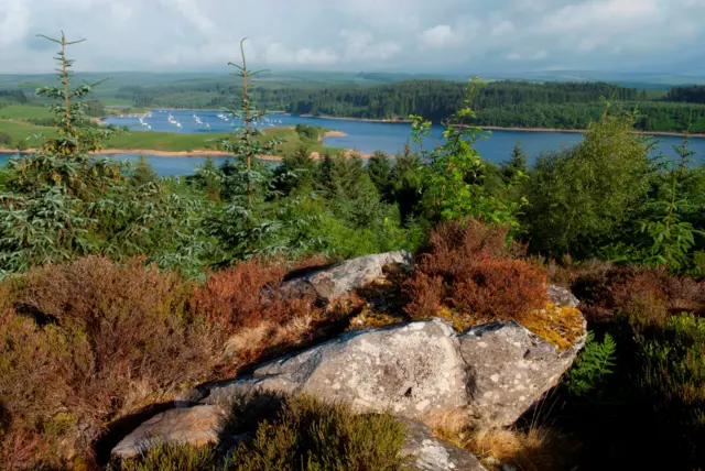 Kielder Water and Forest Park