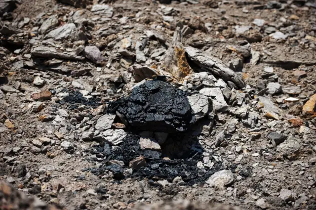 A lump of coal in Mozambique