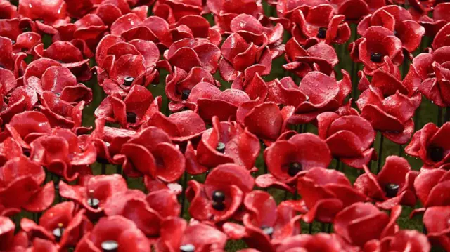 Paul Cummins ceramic poppies