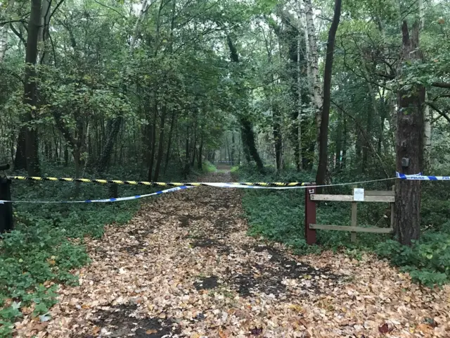 Roughton Moor Woods