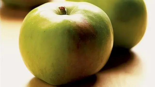 Bramley Apple