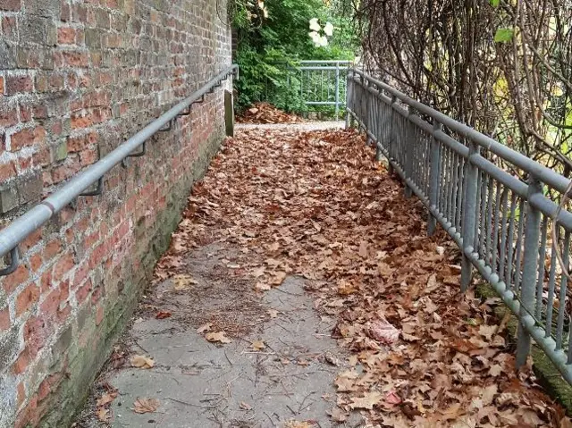 Brown leaves in Burton upon Stather