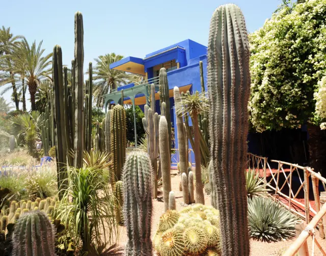 Majorelle Garden