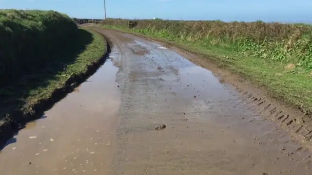 Muck on Hartland road