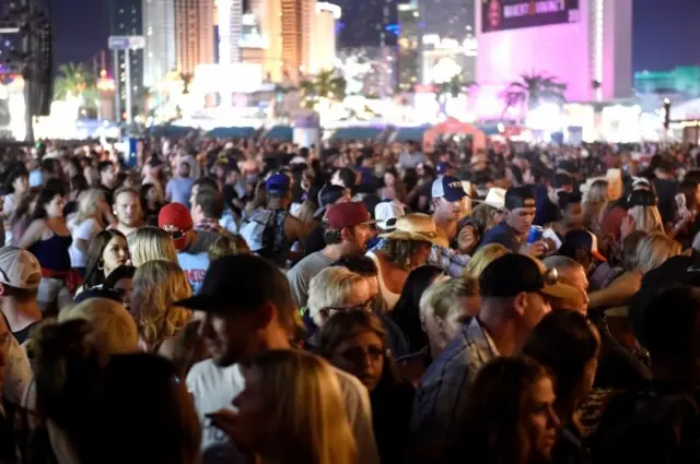 Crowds of people at the concert