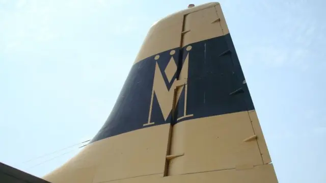 Monarch tail fin