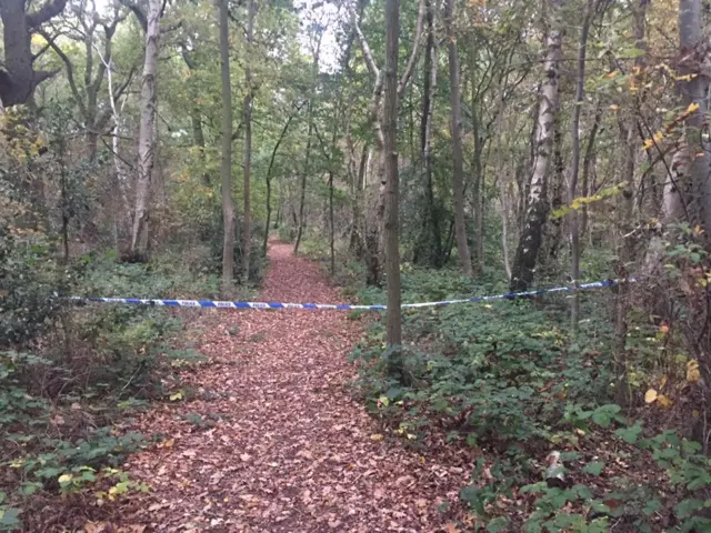 A leafy path through woodland is taped off with a police cordon