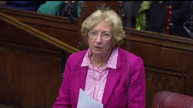 Baroness Meacher