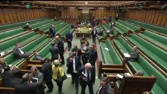 MPs voting