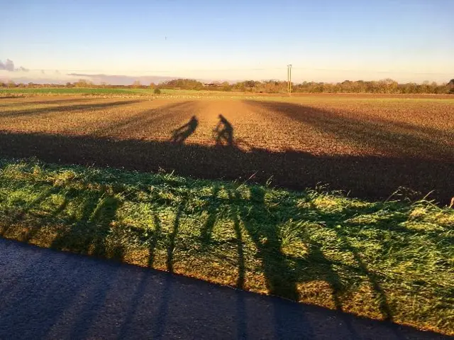 Shadows of cyclists on sunny day