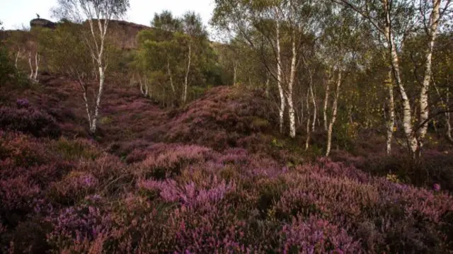 Peak District