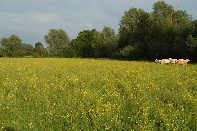 Houghton Meadows Nature Reserve