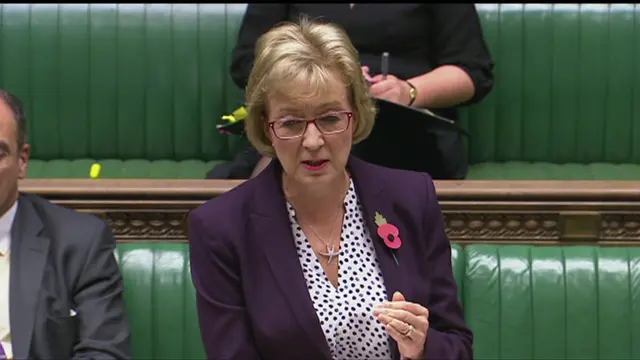 Andrea Leadsom