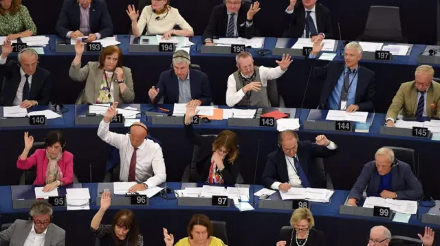 MEPs voting in Strasbourg