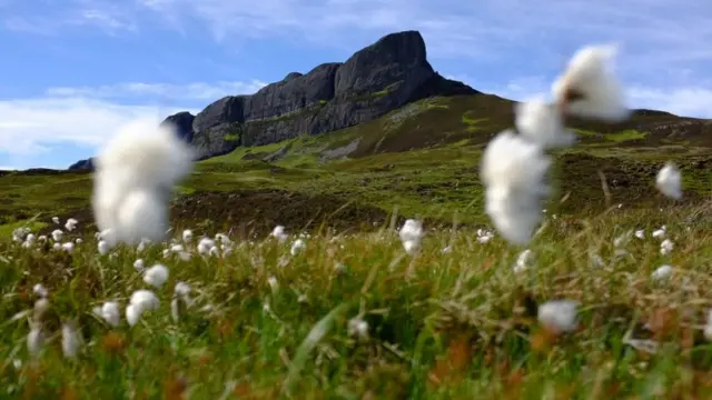 Eigg was taken over by its residents in a community buyout 20 years ago