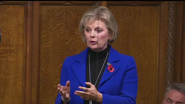 Anna Soubry