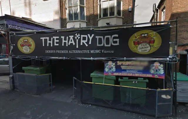 The Hairy Dog