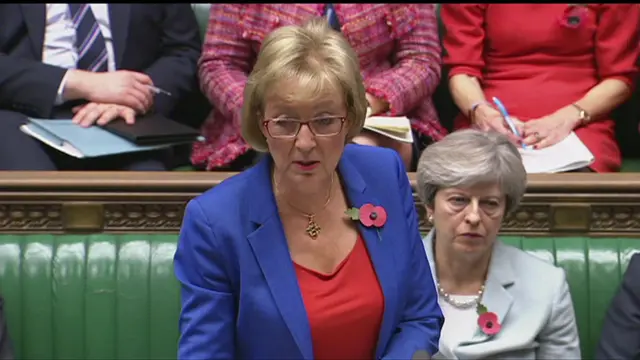 Andrea Leadsom