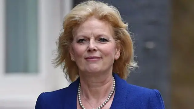 Anna Soubry