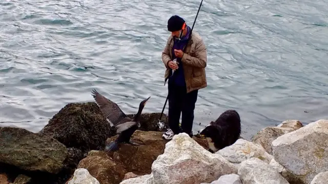 Fisherman and cormorant. Pic: Ian Curtis