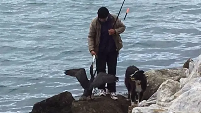 Fisherman and cormorant. Pic: Ian Curtis