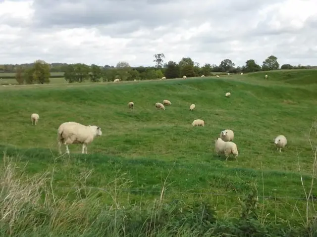 Sheep Burton Overy weather