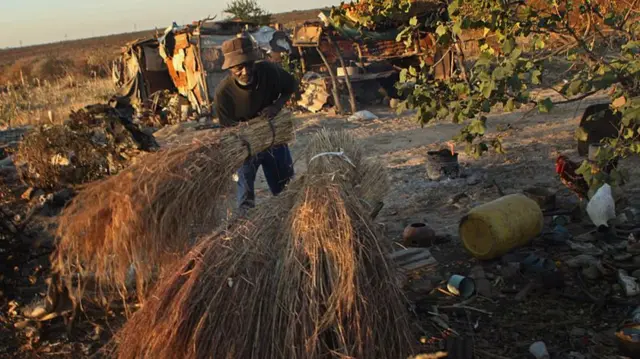 A man in Zimbabwe moves bundles of thatching grass outside his home