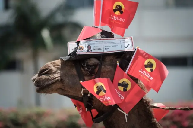 One and half year-old male camel "Junior" is decorated with flags as his owner takes part in a voluntary campaign to support Kenya"s president and his Jubilee Party in Nairobi on September 18, 2017.